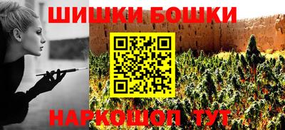 гидра Заводоуковск