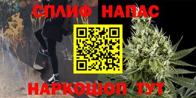 гидра Заводоуковск