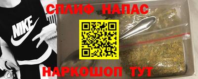 гидра Заводоуковск